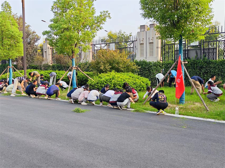 圖片22：“除草護綠，凈化心靈”主題勞動教育實踐活動.jpg